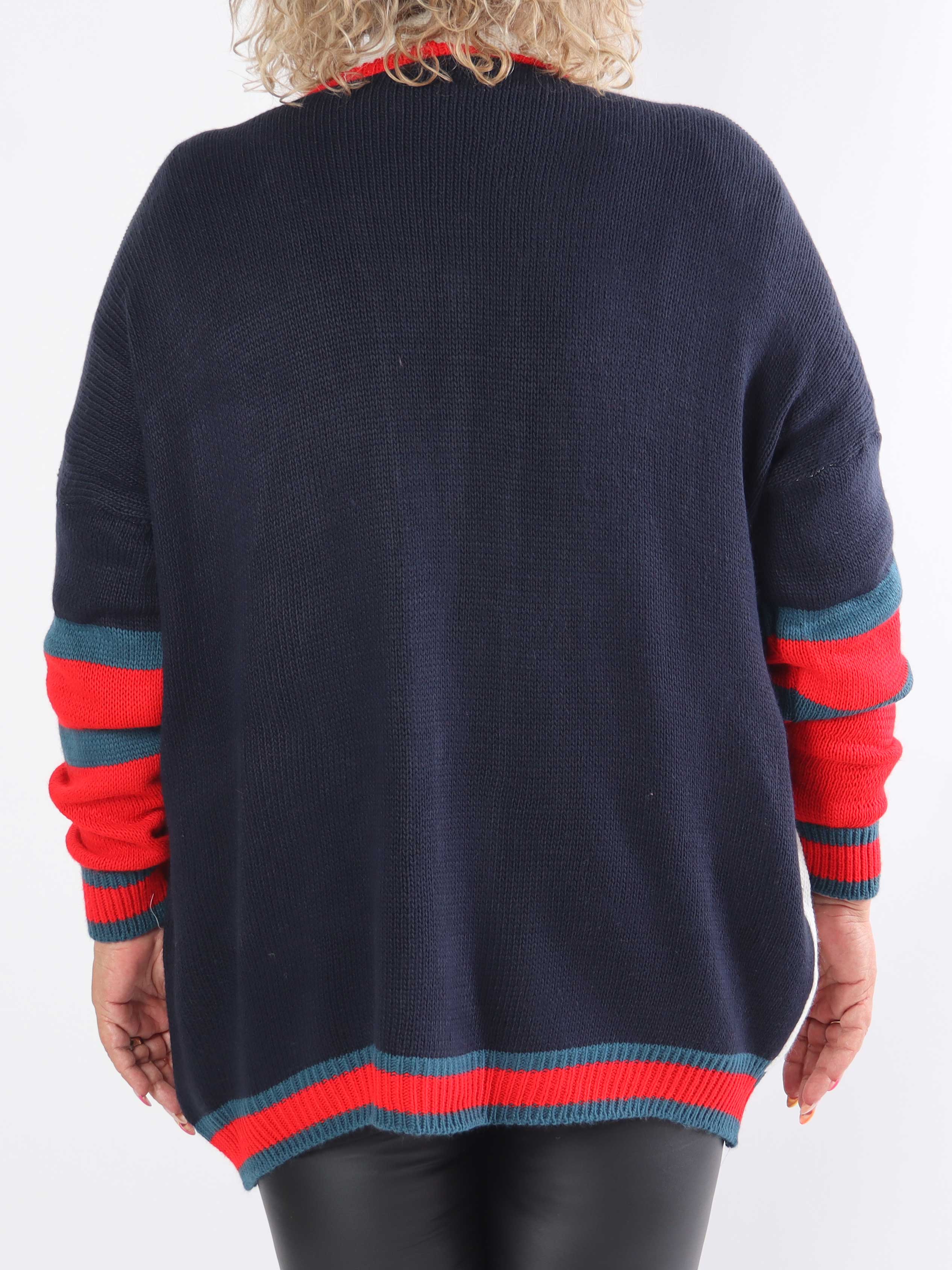 Diah - Flerfarvet plus size college strikcardigan